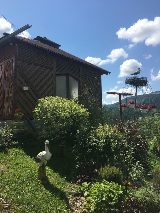 Hotel Відпочинок У Пронів Slavske Exterior foto